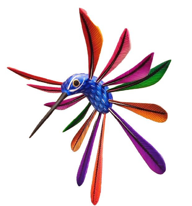 Hummingbird illustration